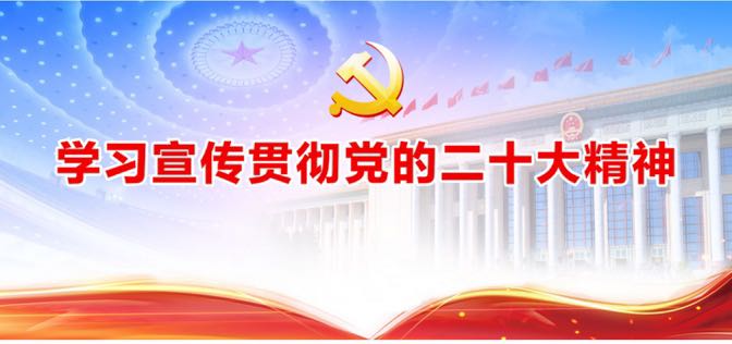 学习贯彻落实党的十九大精神