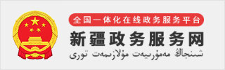新疆政务服务网