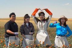乘着大巴看中国·新疆行塔城站 探寻裕民“一花一羊”的丰饶密码