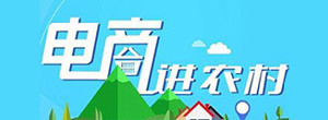 电子商务进农村