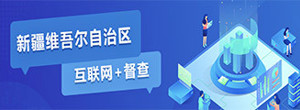 新疆互联网+督查