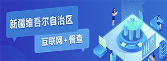 新疆互联网+督查
