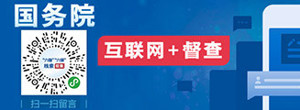 国务院互联网+督查