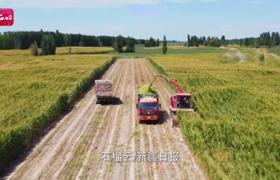 石榴访谈·共话乡村振兴丨新疆节水农业如何更好降本增效