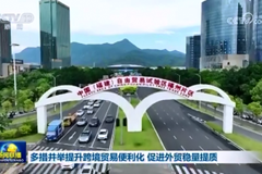 多措并举提升跨境贸易便利化 促进外贸稳量提质