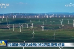 我国推进碳达峰碳中和取得重要成果