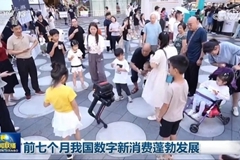 前七个月我国数字新消费蓬勃发展