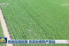 各地加强田管 夯实秋粮稳产基础