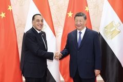 习近平会见埃及总理马德布利