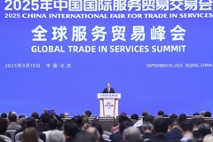 丁薛祥出席2025年全球服务贸易峰会并发表主旨讲话