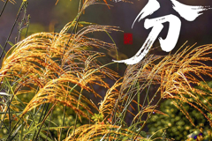 除了昼夜等长，关于秋分的这些你知道吗？