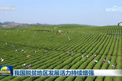 我国脱贫地区发展活力持续增强