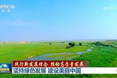 坚持绿色发展 建设美丽中国