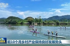 前10个月乡村产业保持良好发展势头