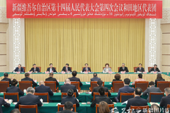 陈小江参加和田代表团审议