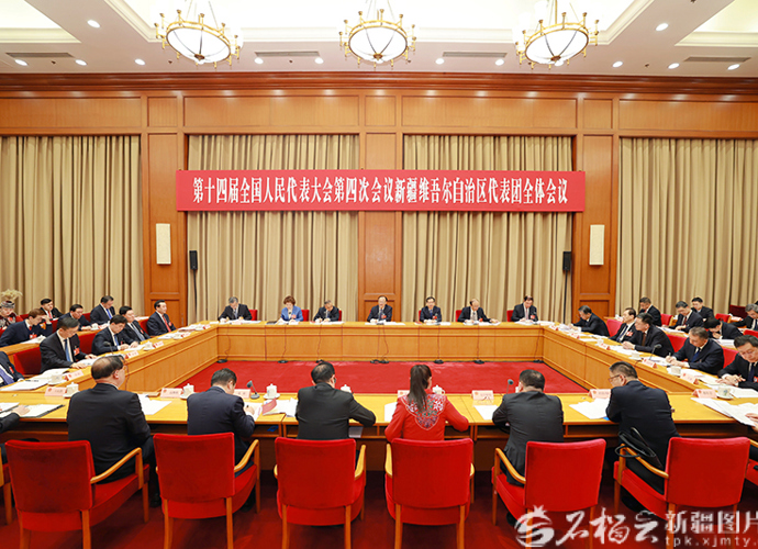 新疆代表团举行全体会议审议政府工作报告