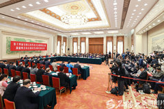 新疆代表团举行全体会议并向中外媒体开放