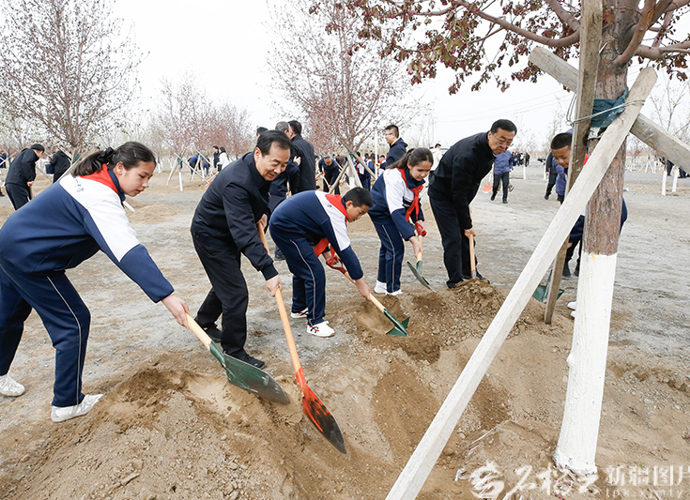 自治区领导在乌鲁木齐参加义务植树活动
