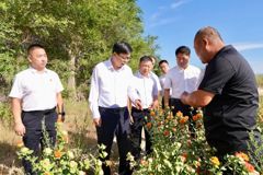 支现伟在裕民县调研时强调 立足资源禀赋 夯实基层治理 做强特色产业 推动地区高质量发展提质增效