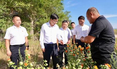 支现伟在裕民县调研时强调 立足资源禀赋 夯实基层治理 做强特色产业 推动地区高质量发展提质增效