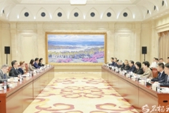 陈小江艾尔肯·吐尼亚孜会见新开发银行行长罗塞芙