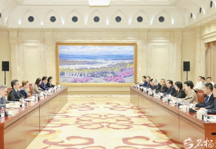 陈小江艾尔肯·吐尼亚孜会见新开发银行行长罗塞芙