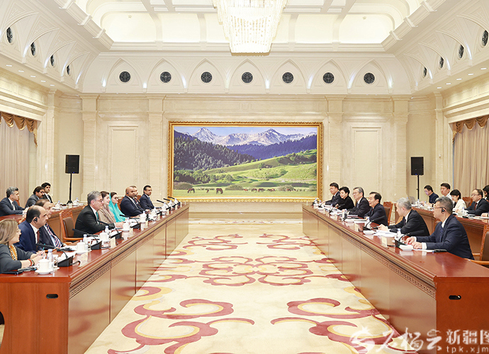 陈小江会见巴基斯坦旁遮普省首席部长玛丽亚姆
