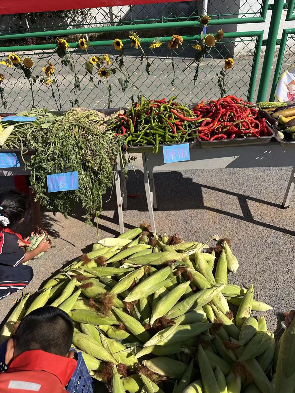 f94164c8d47f37522726d7c044e41cf7