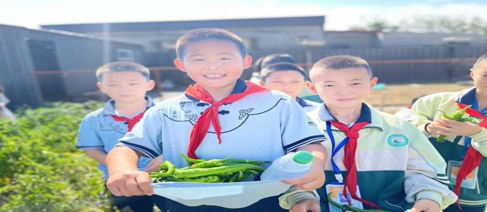 1d4d5de9b9c7aa6f437ff66508515be1